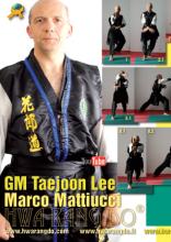 Chief Instructor Marco Mattuicci December 2014 Budo International
